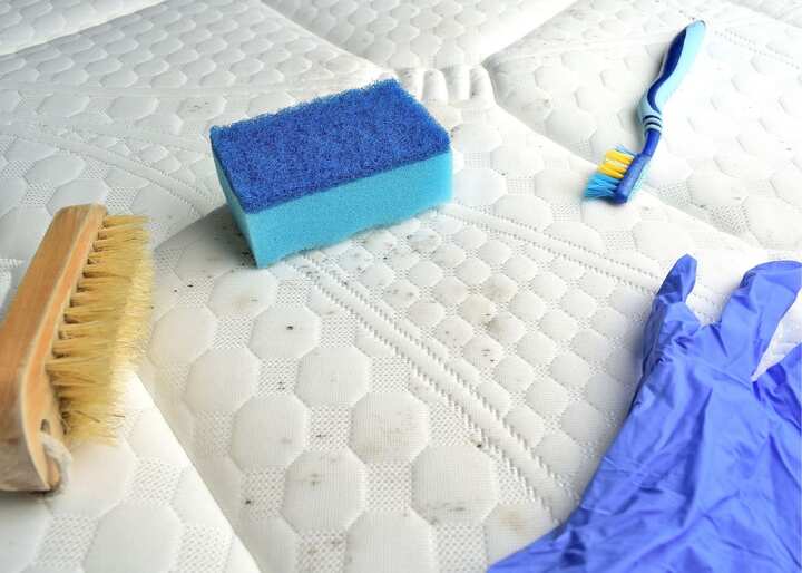 Mold Removal Company Aurora CO