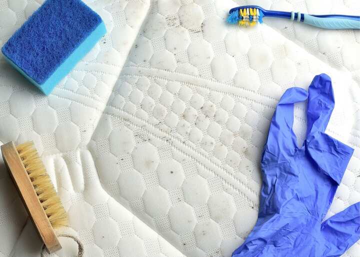 Mold Removal Company Aurora CO