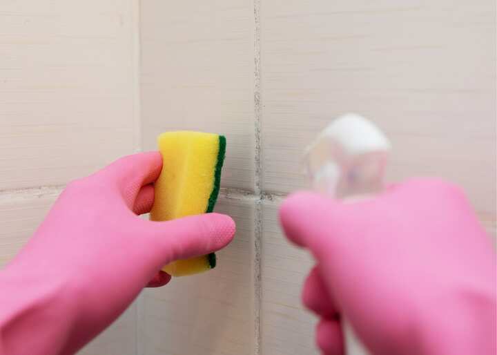 Mold Removal Company Aurora CO