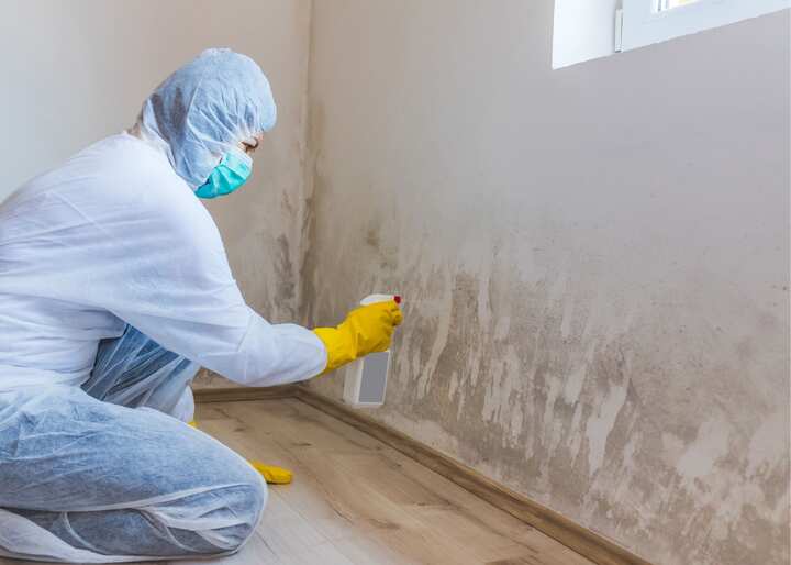 Mold Removal Company Aurora CO
