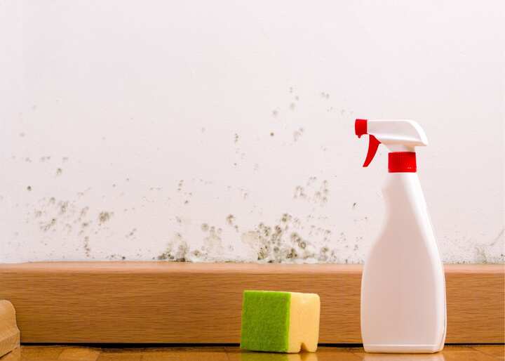 Mold Removal Company Aurora CO