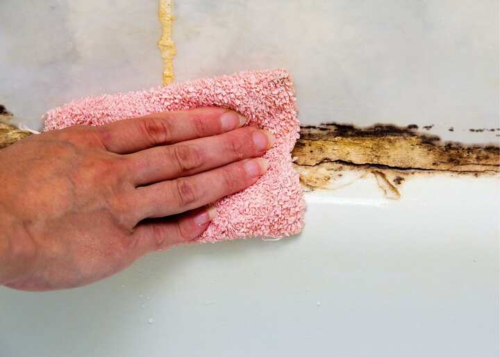 Mold Removal Company Aurora CO