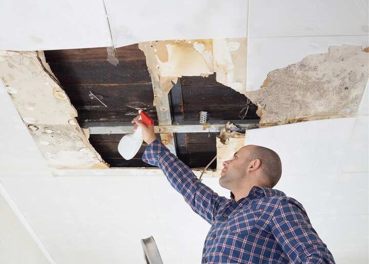 Mold Removal Company Aurora CO