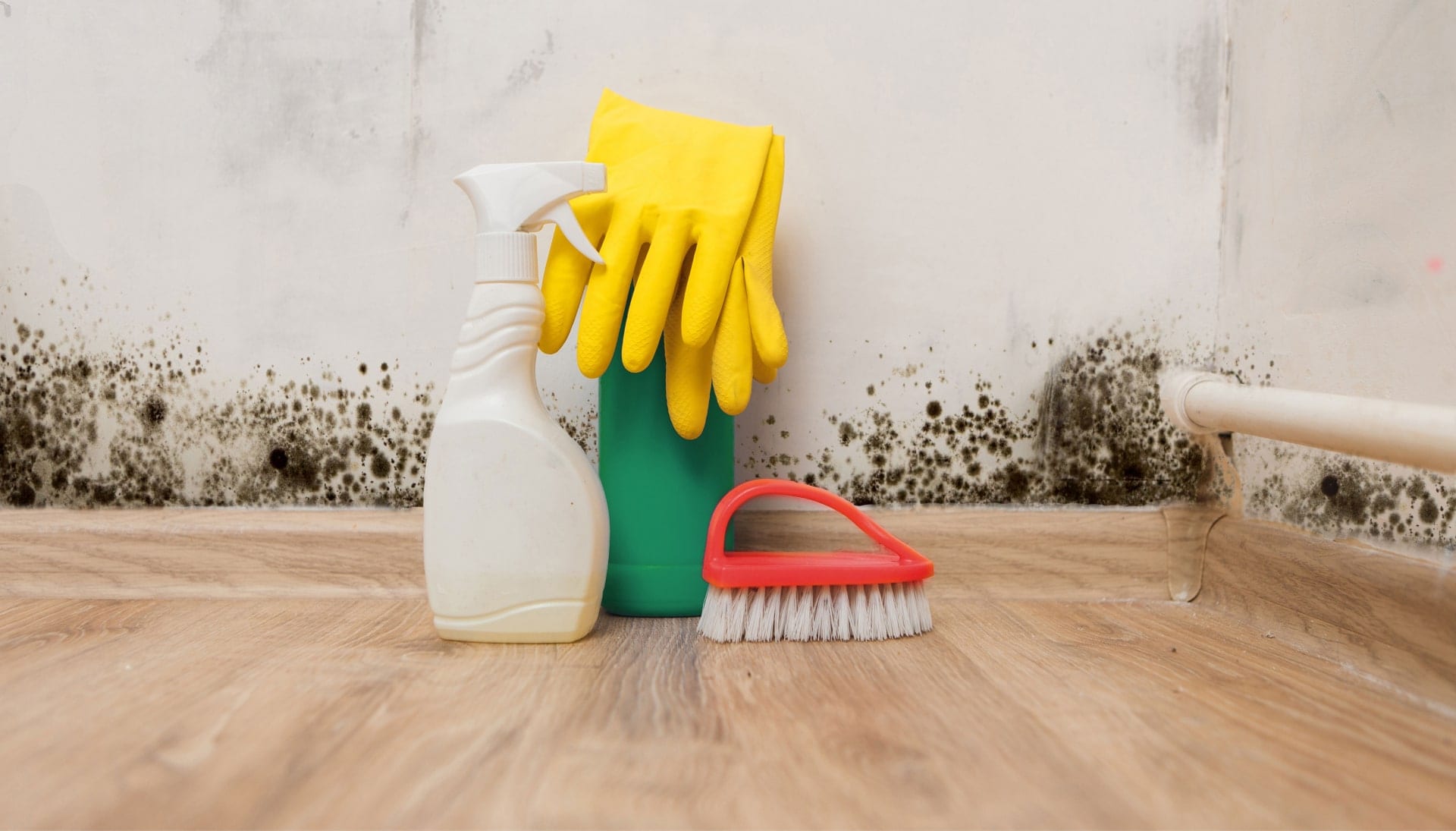 We offer fast and reliable services to help remove and prevent mold growth in your home or business in Aurora, Colorado