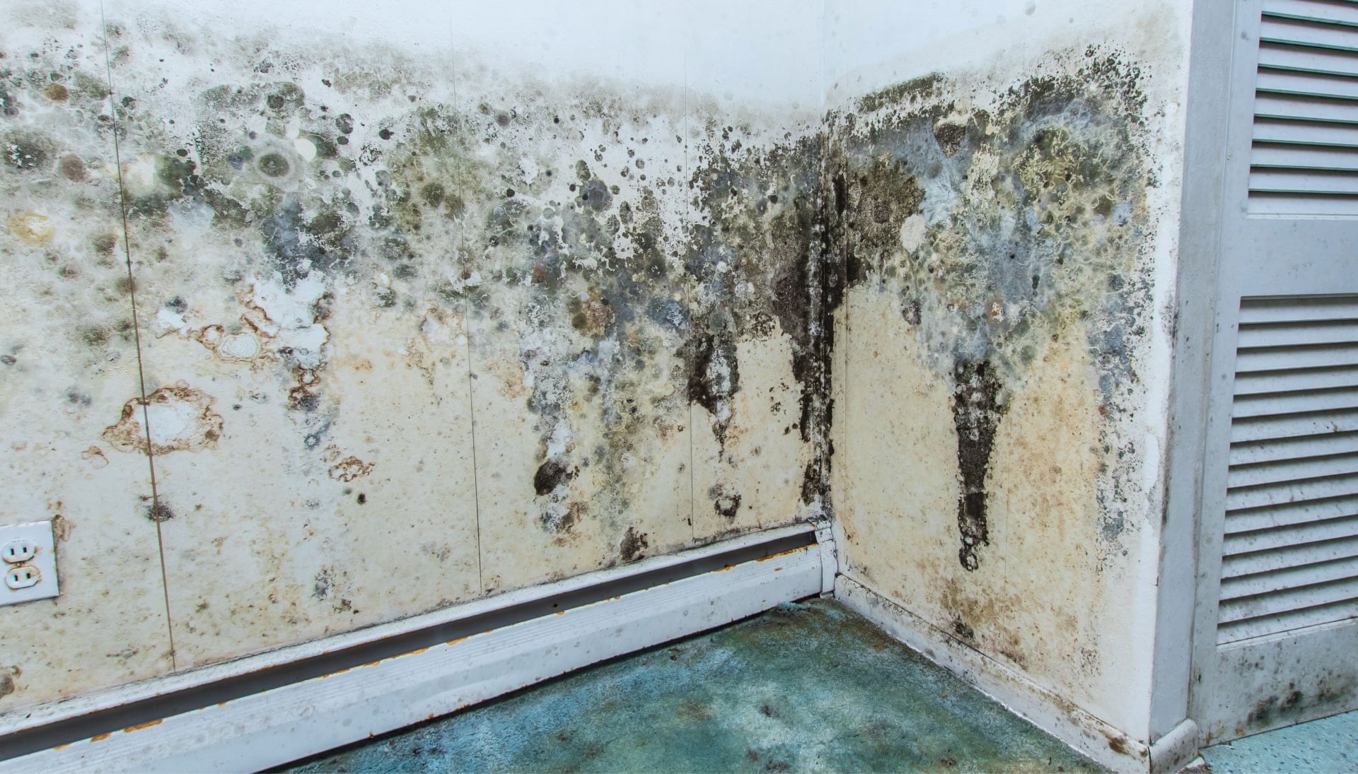 Professional mold removal, odor control, and water damage restoration service in Aurora, Colorado.