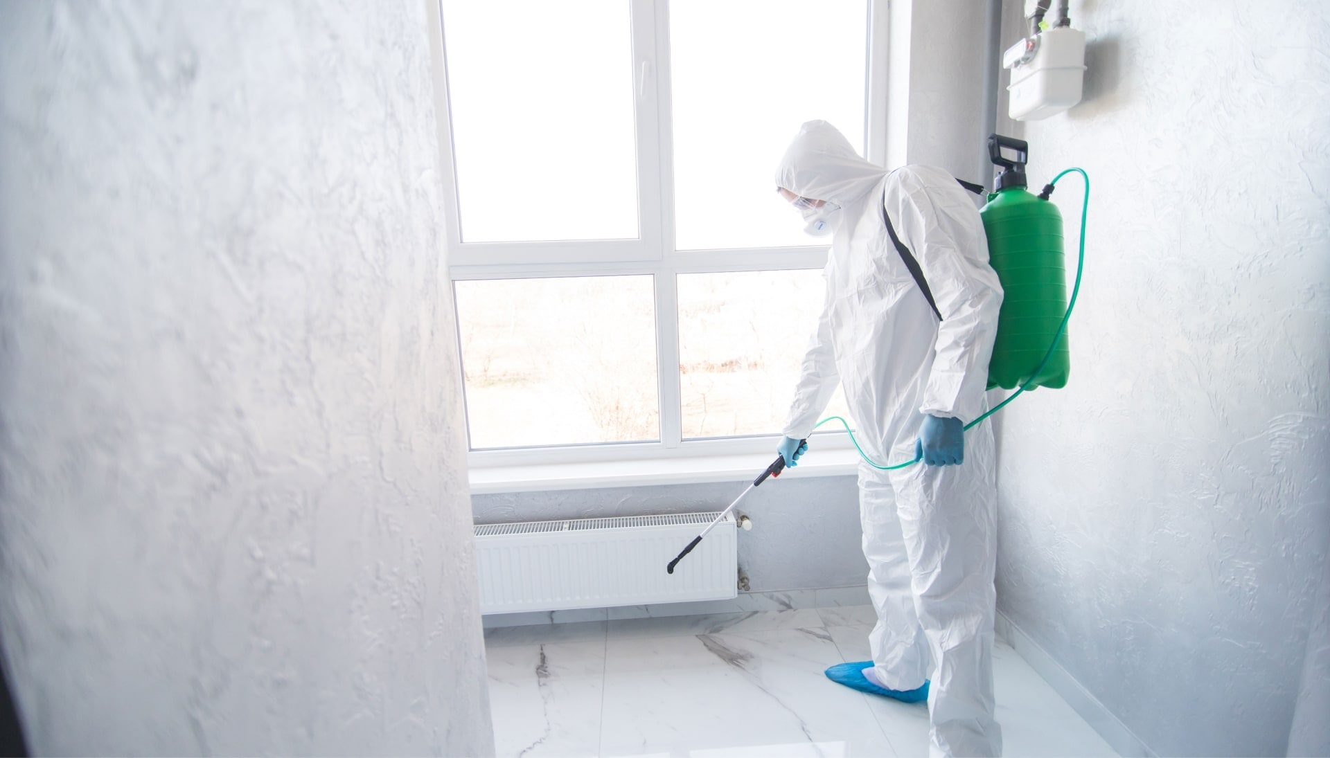 We provide the highest-quality mold inspection, testing, and removal services in the Aurora, Colorado area.